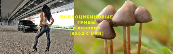 спайс Магадан