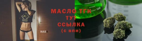 дживик Мегион