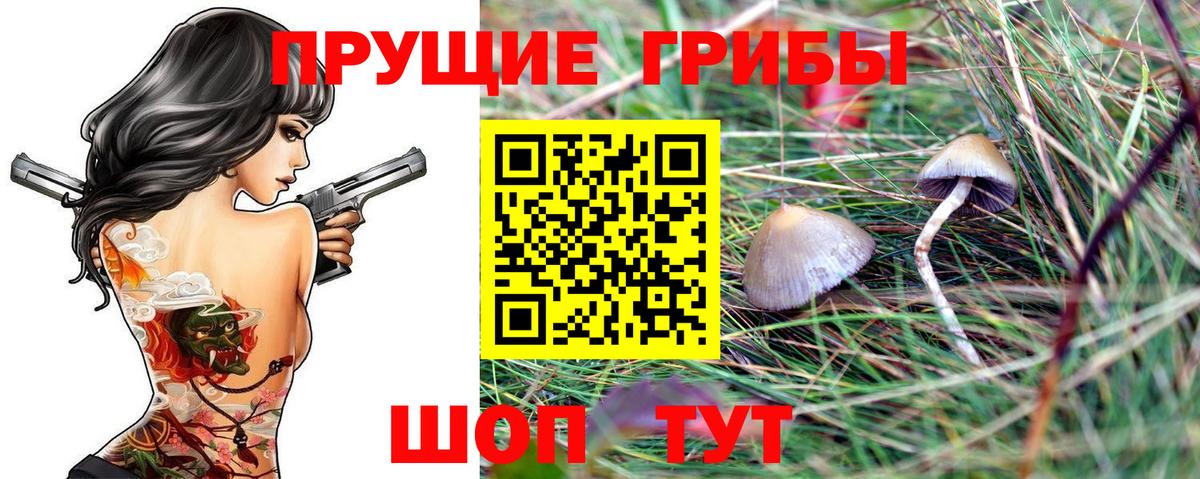 Куйбышев  Галлюциногенные грибы мицелий  Вход с VPN 