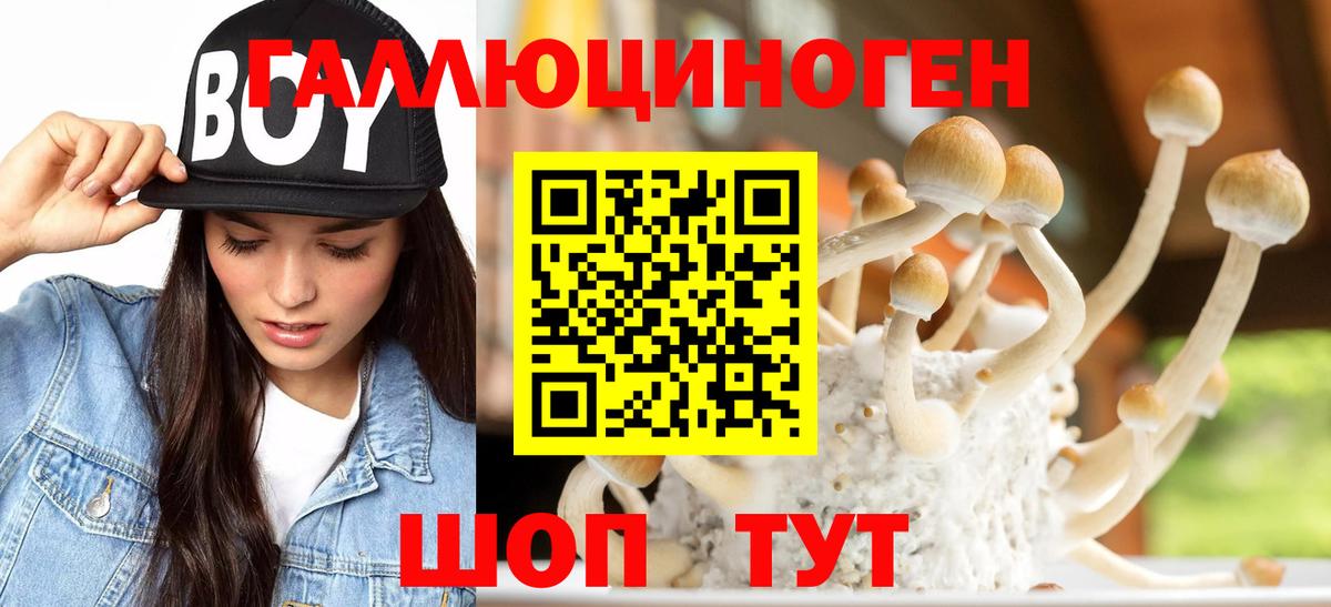 Галлюциногенные грибы мухоморы Куйбышев